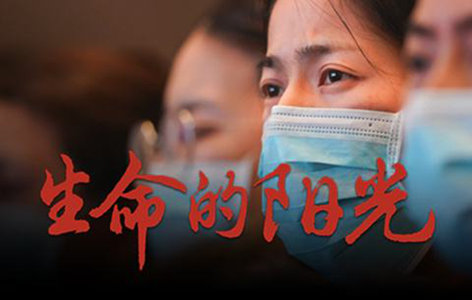 保障圣能科技有序工作，踐行初心使命“主戰(zhàn)場”